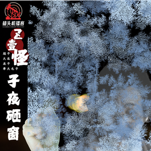 【Z壹怪】《子夜砸窗》with最美厨娘雪姐