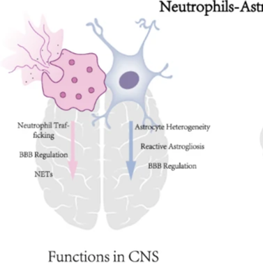 生统爱好者周刊（第 6 期）：为什么顶刊一边依赖它，一边骂它？