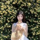 杏禾_YRqC