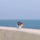 篮子_fl4L