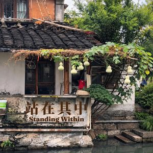 谁剪断了爷爷的七个葫芦？——当每个人都觉得“我只是来看一眼”