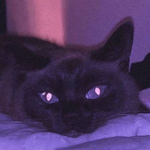 podcaster-avatar