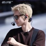 北极熊也想企鹅