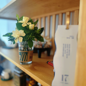 S2Vol.8-任意门|"反骨"职场乌托邦里,消失的ta