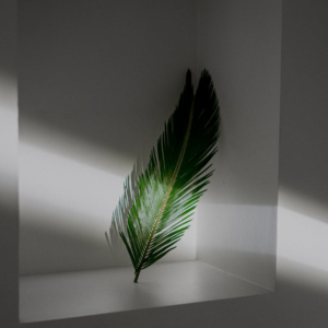 E0.一个很随意的发刊词｜关于戛纳的表达欲和碎碎念