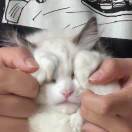 两颗苹果_cPLW