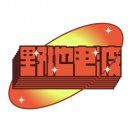 野地壹号机器人