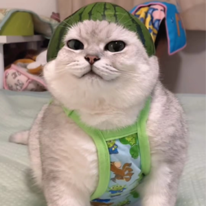 资本市场舆情解读【1月10日】