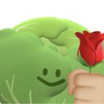 疑惑的卷心菜