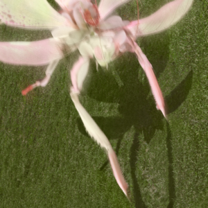 【Jué Music】Easy Monday Listening 2.24