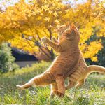 LWJ_怎么就重名了