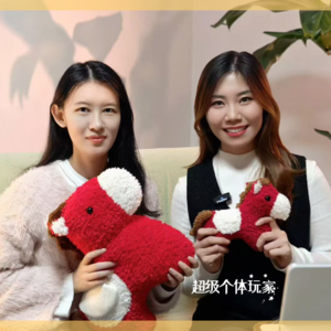 002 从“躺平废物”到操盘50万级项目：接纳自己，是赚钱的开始