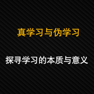 12-真学习与伪学习：探寻学习的本质与意义