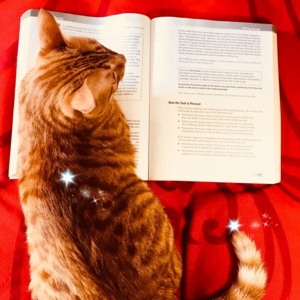 雅思口语Part 3高分语料 | Self-Centered People 以自我为中心的人