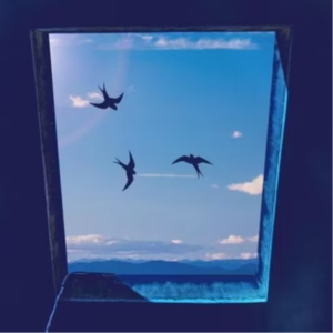 《四个春天》：平凡的人生里，写满了最长久的温柔丨世界读书日