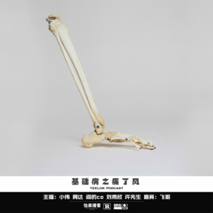 697.基础病之痛了风