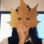 驴在野