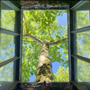 57.慢即是快！为什么你越忙越乱，越管理时间，越急迫，人生却越失控？