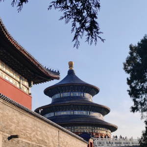 E012 迷茫吗？但路被我们越走越清晰。