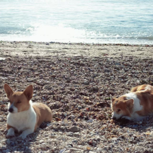 冬日在音乐波纹里填补遗憾
