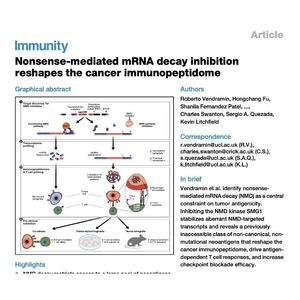 919-SMG1 Inhibition and Expansion of Cancer Immunopeptidome