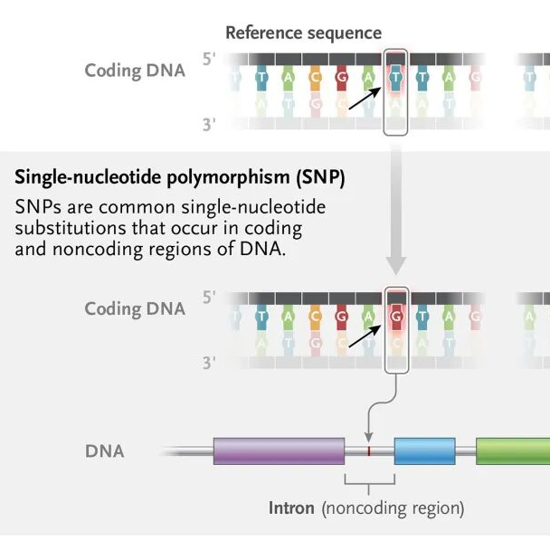 生统爱好者周刊（第 1 期）：博士后，“太多了”？