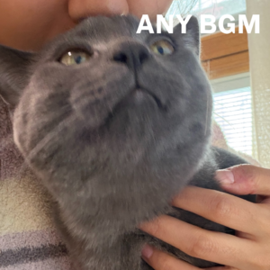 1. 当一个播客制作人决定录一期自己的播客