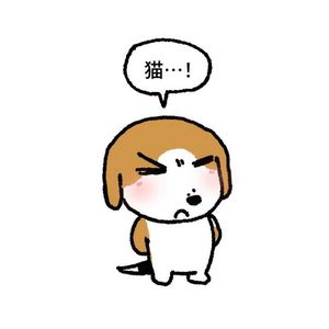 进宝Aoi