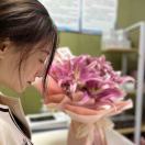 夏依的个人播客