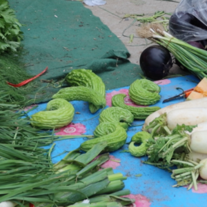 54. 东市买奶酪,西市买番茄,南市买活鱼,北京买菜大不易