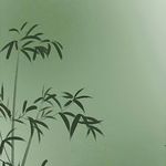 伍雪慢
