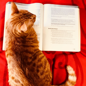 25.9.13雅思写作真题母语教师范文 | 线上沟通vs面对面会议的利弊