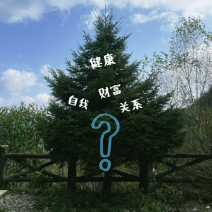 011.人生价值选择题：健康、财富、关系、自我，你的排序是？