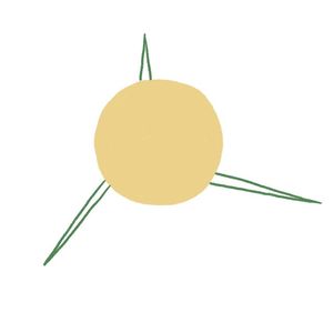 解放一棵树