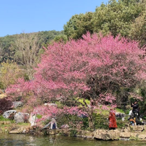 定义不好何时春暖花开,一划划到了三月