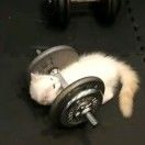 一张不够花_Vfgy