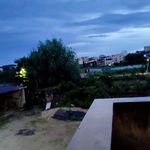 留声岛