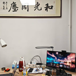 语商之学者访谈-53 牛华勇老师的回归和重新出发