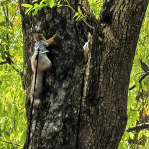 E014 【职场游乐园】牛马的这个槽该怎么跳?