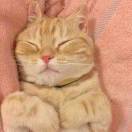 寻求前进的舒适区