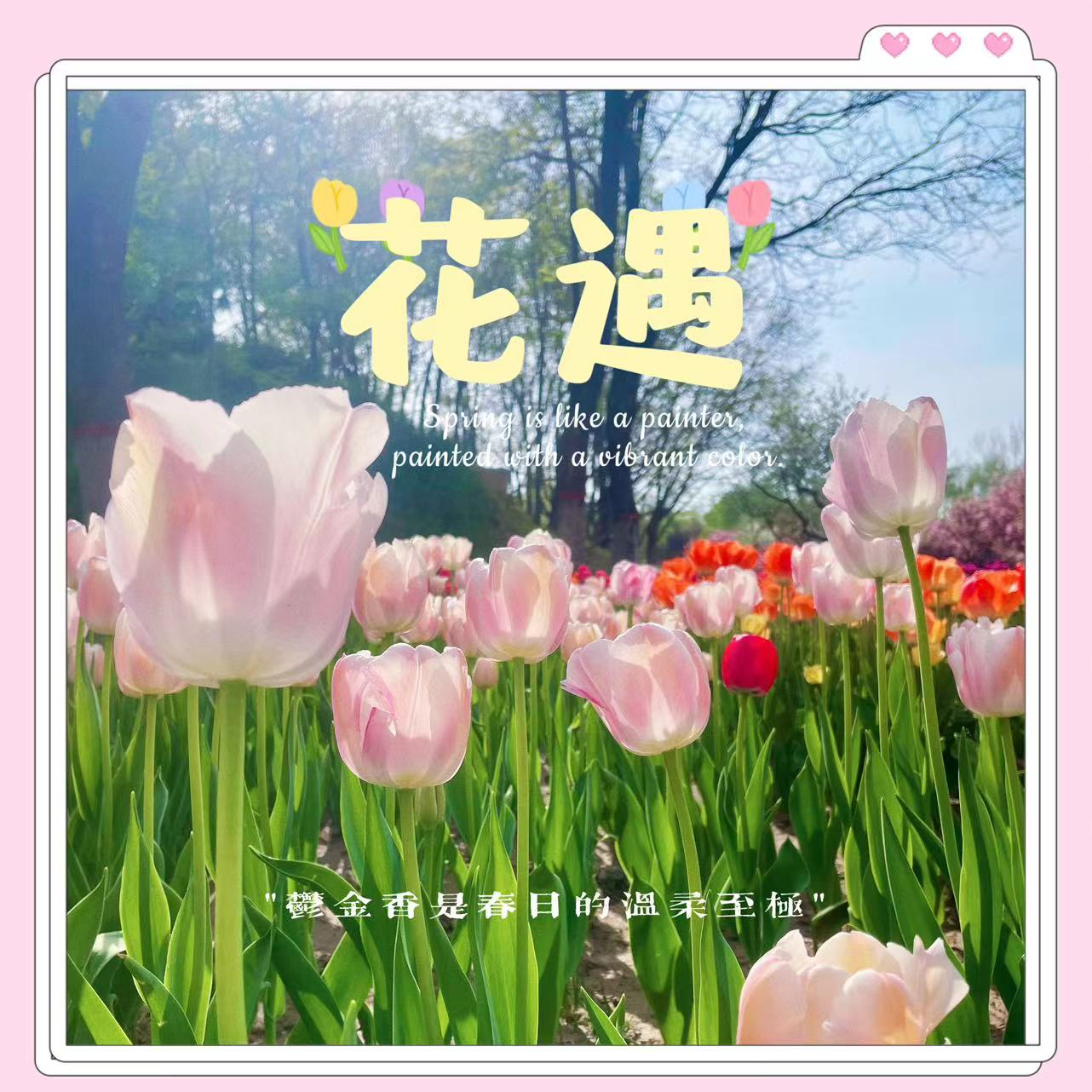 EP02 春天📮寄一张明信片给你 episode artwork