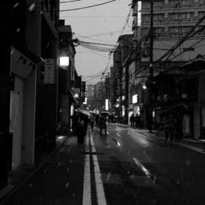 ⛩️04. 京都夜话：老娘真！没！醉！