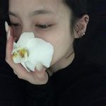 凉披萨