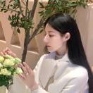 高能量女孩
