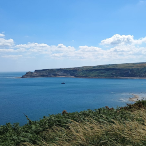 S1E20 你的情绪也需要碳中和：环保人独有的幸福能量公式