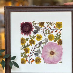 Alicia的人生碎碎念