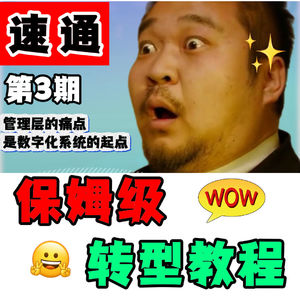 30期帮你完成数字化转型，保姆级教程第3期！ 管理层的痛点，是数字化转型的起点。