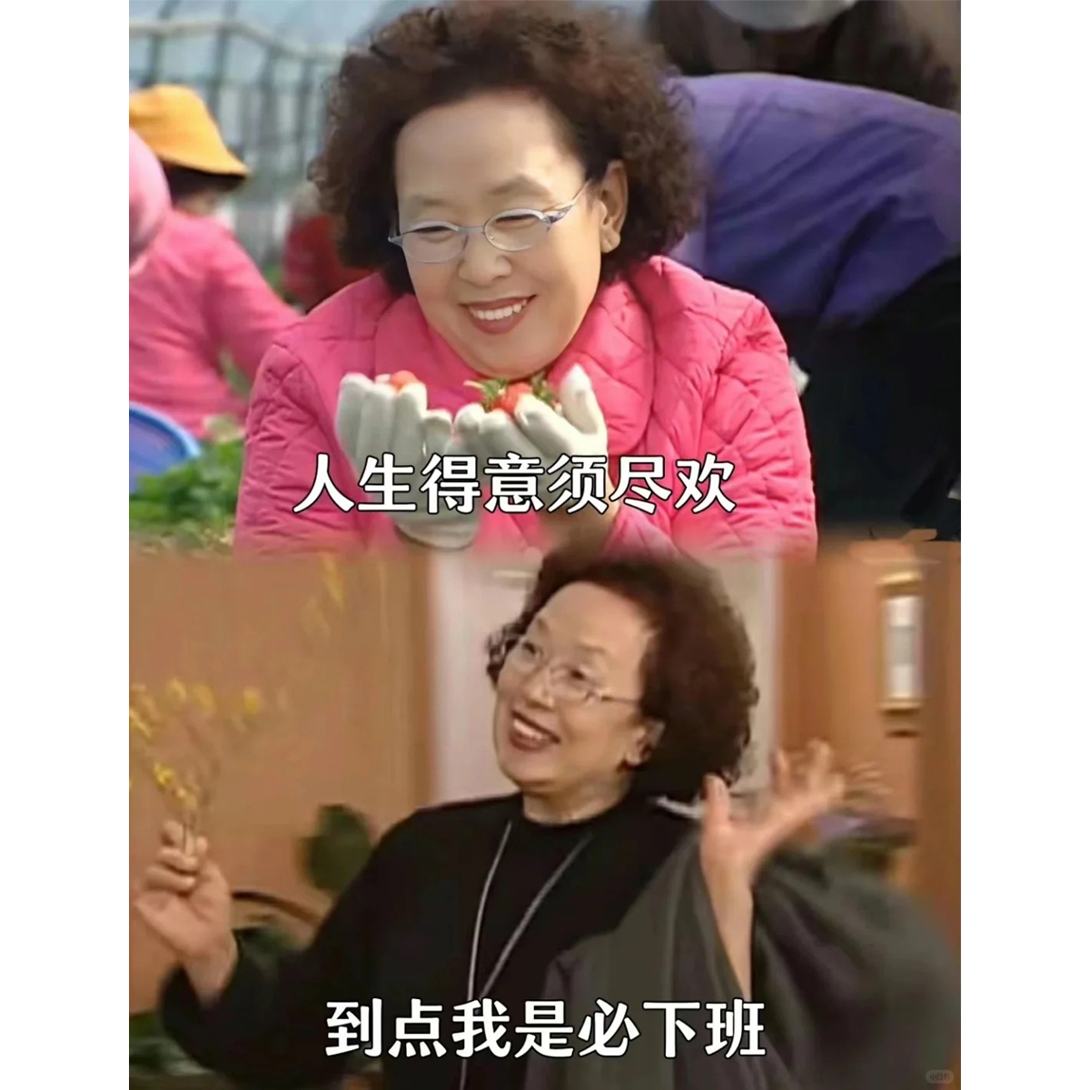 27《人生须尽欢，到点就下班》一定要过喜欢的生活，一本超解压的职场吐槽宝典。 episode artwork