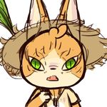 眼泪猫猫