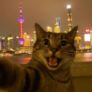 元意的职场英语笔记